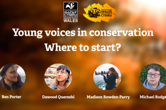 Young voices in conservation thumbnail 