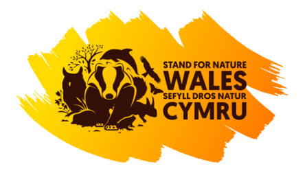Stand for Nature Wales logo
