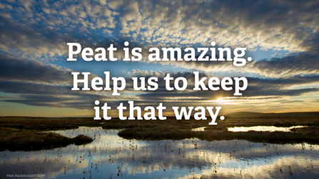 Peat is amazing
