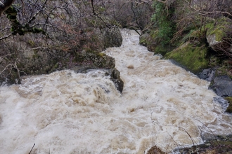 gilfach nature reserve