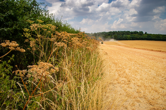 farming wildlife trusts