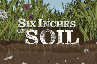 Six Inches of Soil