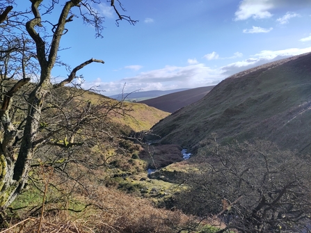 Upper Lugg looking south