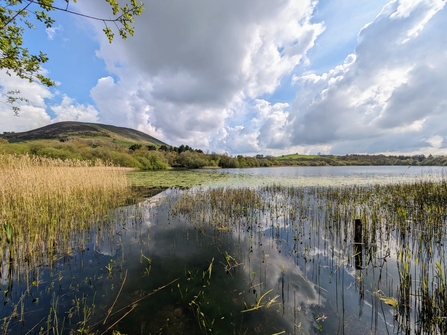 Llanbwchllyn Lake, Georgina Hale