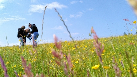 Field Survey young people