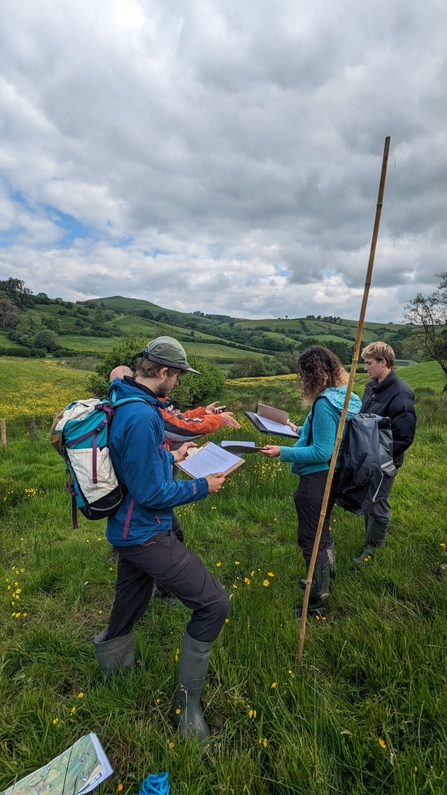 Interns and trainees standing in a field conducting survey