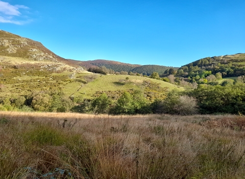 Rhos Pasture at Gilfach