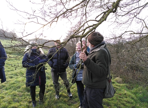 Pentwyn Fungi and Lichen Walk