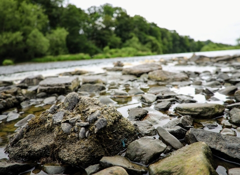 River Wye