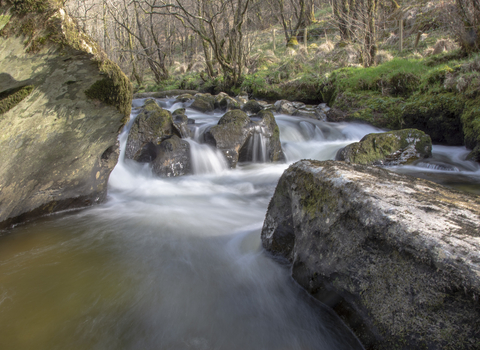 river marteg